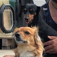 Sam (@samoffgridnz) 's Twitter Profile