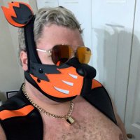 PupTart (@bgdckchb) 's Twitter Profile