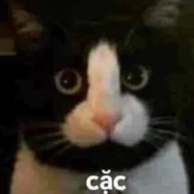 vincigdev's profile picture. 