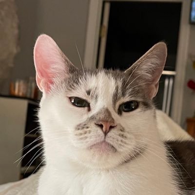Steve39637930's profile picture. 