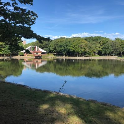 つくば公園通りペデストリアンとその周辺の景観計画をこよなく愛する1人。つくば歴50年。筑波大学開学の年からこの地にいます。街づくり、木造建築、木造住宅好き。趣味ランニング。バイクはスペシャ。お酒、料理好き。