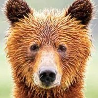 Player1 (@player89000) 's Twitter Profile