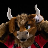 🅱️ento Beef Strokinhuff (@badbullbento) 's Twitter Profile