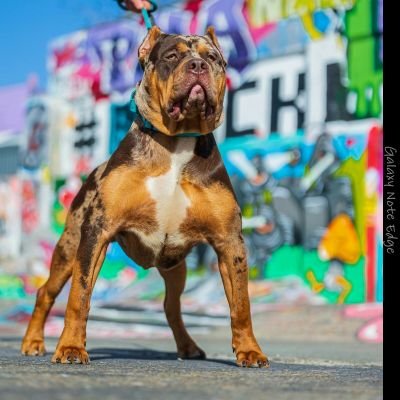 Leaderb63403702's profile picture. Top