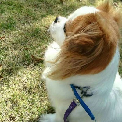 dream_starsky's profile picture. 