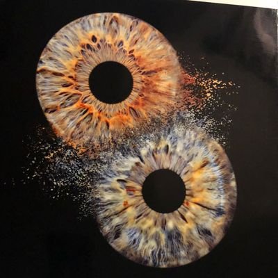 CTsan65's profile picture. 