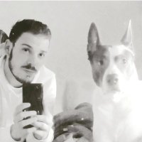 curiel93 (@alexcj93) 's Twitter Profile