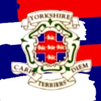 Yorkshire Terriers 7s Rugby(@Terriers7s) 's Twitter Profile Photo