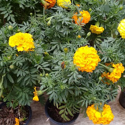 AntoniaBraga18's profile picture. Amo pessoas, a natureza, os livros!!!