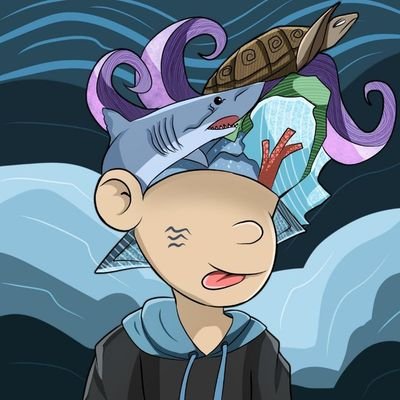 GhRenald's profile picture. #Avalanche #Solana