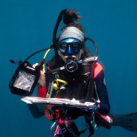 Zoe Meziere (@zoe_meziere) 's Twitter Profile Photo Zoe Meziere (@zoe_meziere) 's Twitter Profile Photo