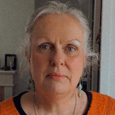 burningtyger93's profile picture. Mum, carer, former teacher. Conservative councillor for Glastonbury St John’s.