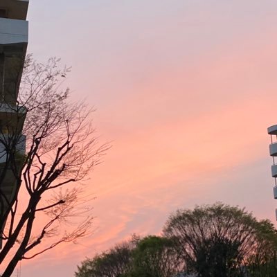 BUMP OF CHICKEN大好き40代。わんぱく息子2人のお母ちゃんです。日常のこともつぶやきます。大好きなBUMPの曲を聴きながら大好きなお酒を呑むことが今の楽しみ(*´꒳`*)リスナーの方と繋がりたいです!無言イイね、フォローすみません🙇🏻♀️よろしくお願いします😊