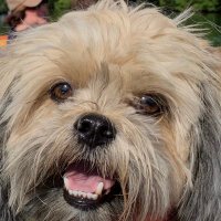 Bailey Yankee (@baileyyankee1) 's Twitter Profile Photo Bailey Yankee (@baileyyankee1) 's Twitter Profile Photo