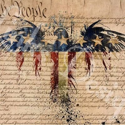 PatriotBleeding's profile picture. I love my country, I hate my countrymen. 
#2A
SemperFi.