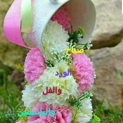 MonaAhm22695005's profile picture. Biology lover