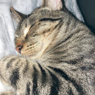 RisaHendrickson's profile picture. 