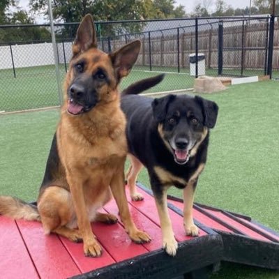 ScottCohenOSU's profile picture. The Ohio State University