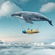 CryptechD's profile picture. 区块链爱好者