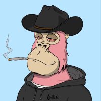 TC (@tjcoti) 's Twitter Profile