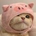 . (@yhiewoeih) Twitter profile photo . (@yhiewoeih) Twitter profile photo