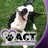 ACTupforanimals's profile image