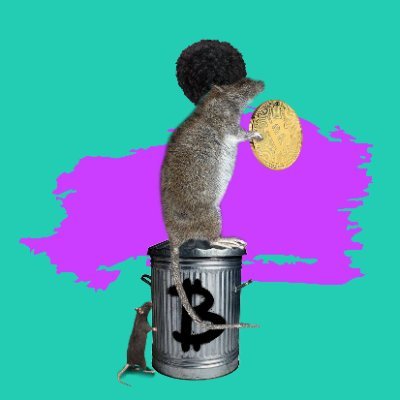 5,000 NYC Rats🐭creating trash art! MINTING LIVE! creator: @cryptobronyc