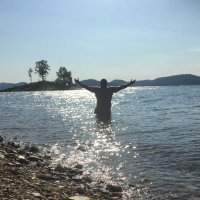 PetePoleock (@ppoleock) 's Twitter Profile