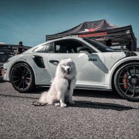 BE (@bebadp7) 's Twitter Profile