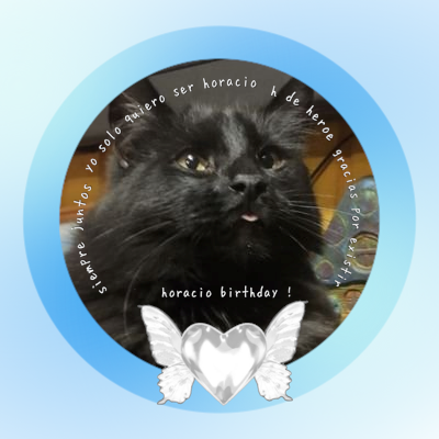 PoligniaF's profile picture. 