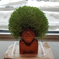 Gary Kelley (@gkelley1970) 's Twitter Profile