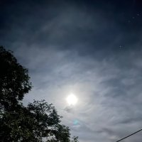 Oddaworldly (@brettmurray75) 's Twitter Profile