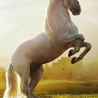 Magod82989039's profile picture. 