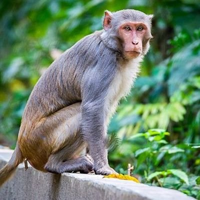 leetyler__'s profile picture. 