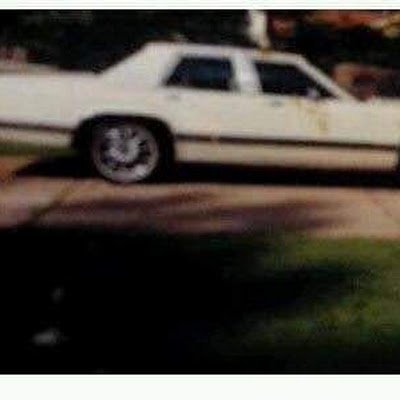 HardingHollis3's profile picture. I love pussy