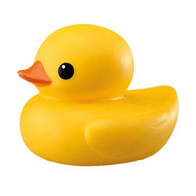 duckygduck2023 Profile Picture