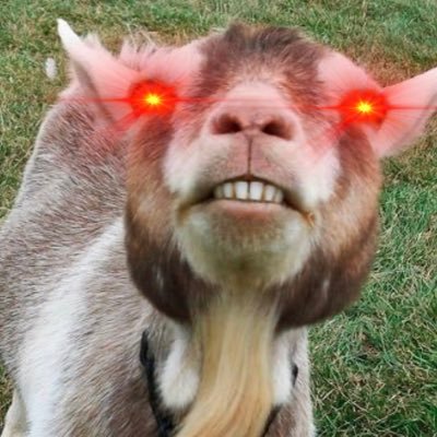 MitchGoat70 Profile Picture