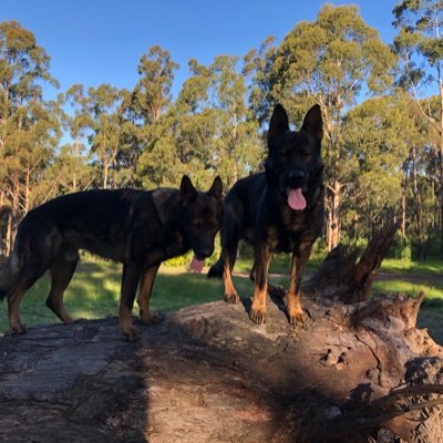 Shane04488381's profile picture. 