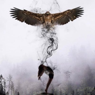 SWGirl4Ever's profile picture. Admirer of all things Space related…