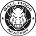 Ball Hogg Academy (@ballhoggacademy) Twitter profile photo