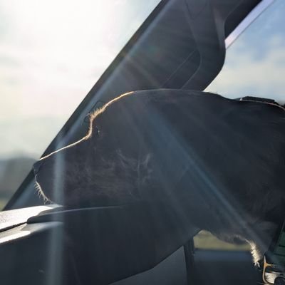 The1Life2Live's profile picture. Lose your mind, Find your Soul, Live Dreams, Love Life, etc... World Traveler, Living new cultures, Meeting People.