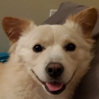 Tanner, But Paler (@moonsault_slash) Twitter profile photo