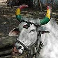 miami records (@miami_records) Twitter profile photo