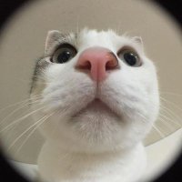 _pingping (@a_panrapee) 's Twitter Profile