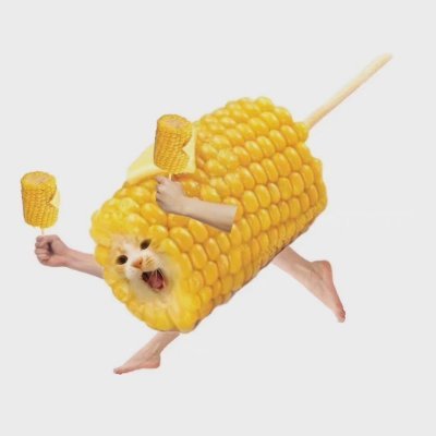 I'm corn cat!!!!