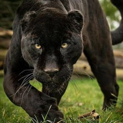 Sam12554430's profile picture. 
