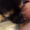 Kat McDonald - @KatXoXoJb - Twitter