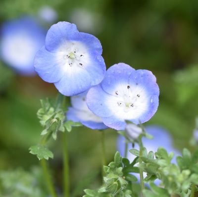 成人済(20↑)。東リベ(本誌)。❄️と🎋の相棒コンビを愛していて、短歌で四季の❄️🎋を詠んでいます。支部にまとめて掲載しました。
BOOTHで短歌集を出しています。
https://t.co/k9hPTAbS2z