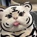 wu (@wu1389166) Twitter profile photo wu (@wu1389166) Twitter profile photo