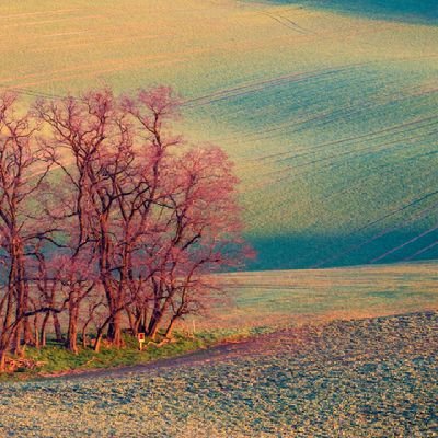 Jennife24041846's profile picture. 